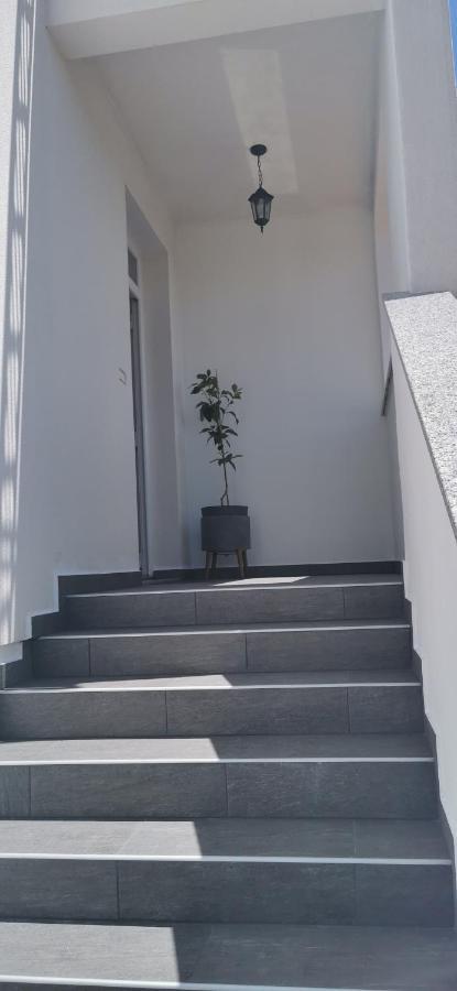Apartments Angeline Rovinjsko Selo Extérieur photo