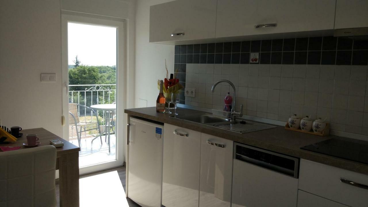 Apartments Angeline Rovinjsko Selo Extérieur photo